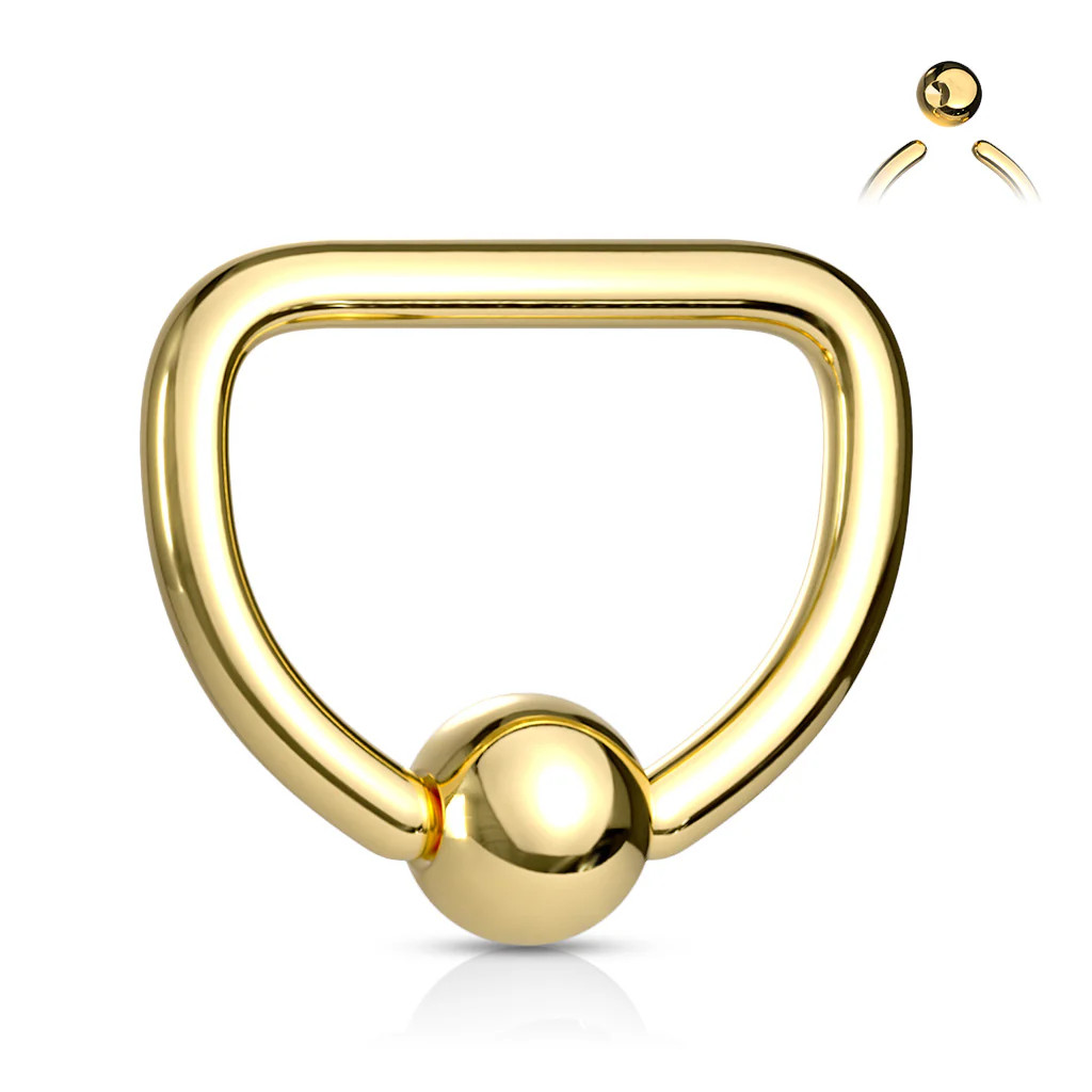 16G Titanium D Shaped Captive Rings Ear Cartilage Nose Septum Ring - Image 2