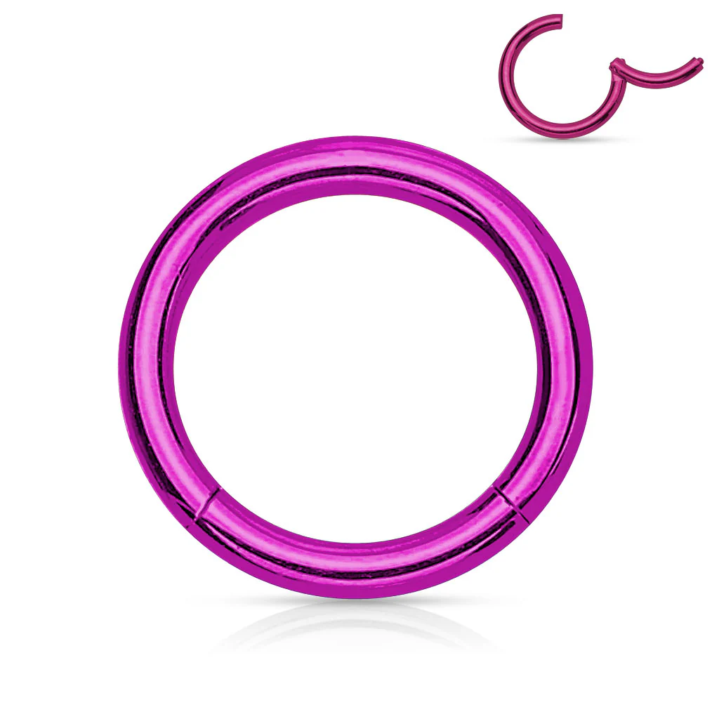20G Titanium Plated Hinged Segment Hoop Rings - Image 8