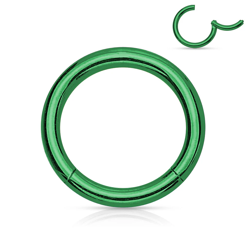 16G Titanium Plated Hinged Segment Hoop Rings - Image 5