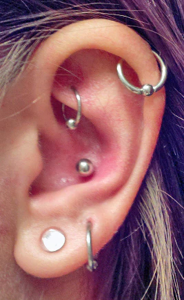 316L Surgical Steel 14G Captive Bead Rings Tragus Helix Snug Ear Cartilage Piercing - Image 2