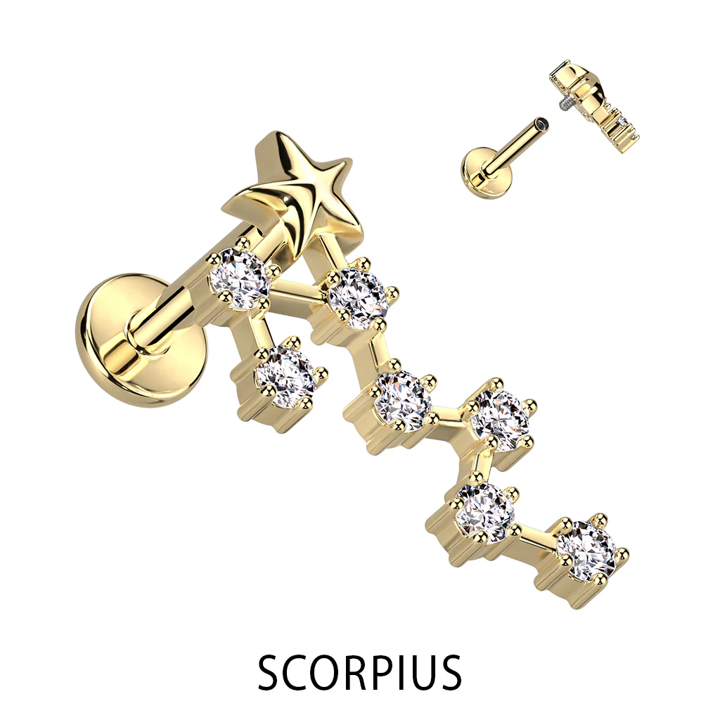Gold Plated CZ Zodiac Constellation Labret Tragus Helix Ear Cartilage Studs - Image 4