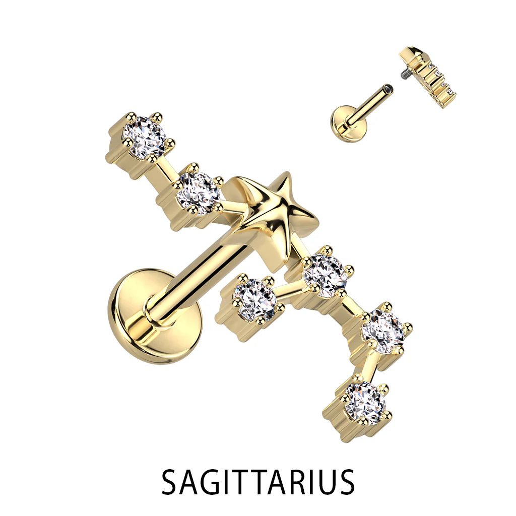 Gold Plated CZ Zodiac Constellation Labret Tragus Helix Ear Cartilage Studs - Image 5