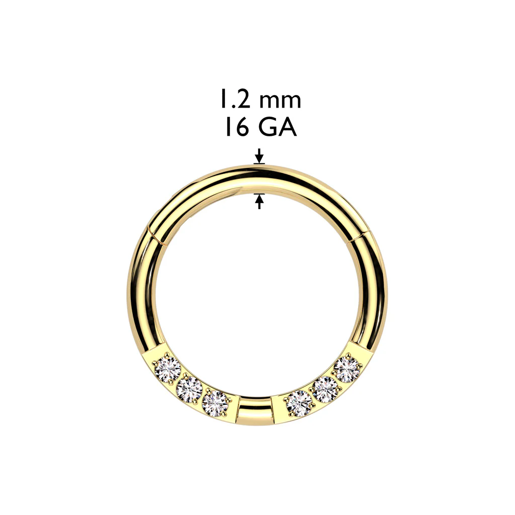 Facing 3 CNC Set CZ Hinged Segment Ring Nose Septum Ear Cartilage Tragus - Image 2