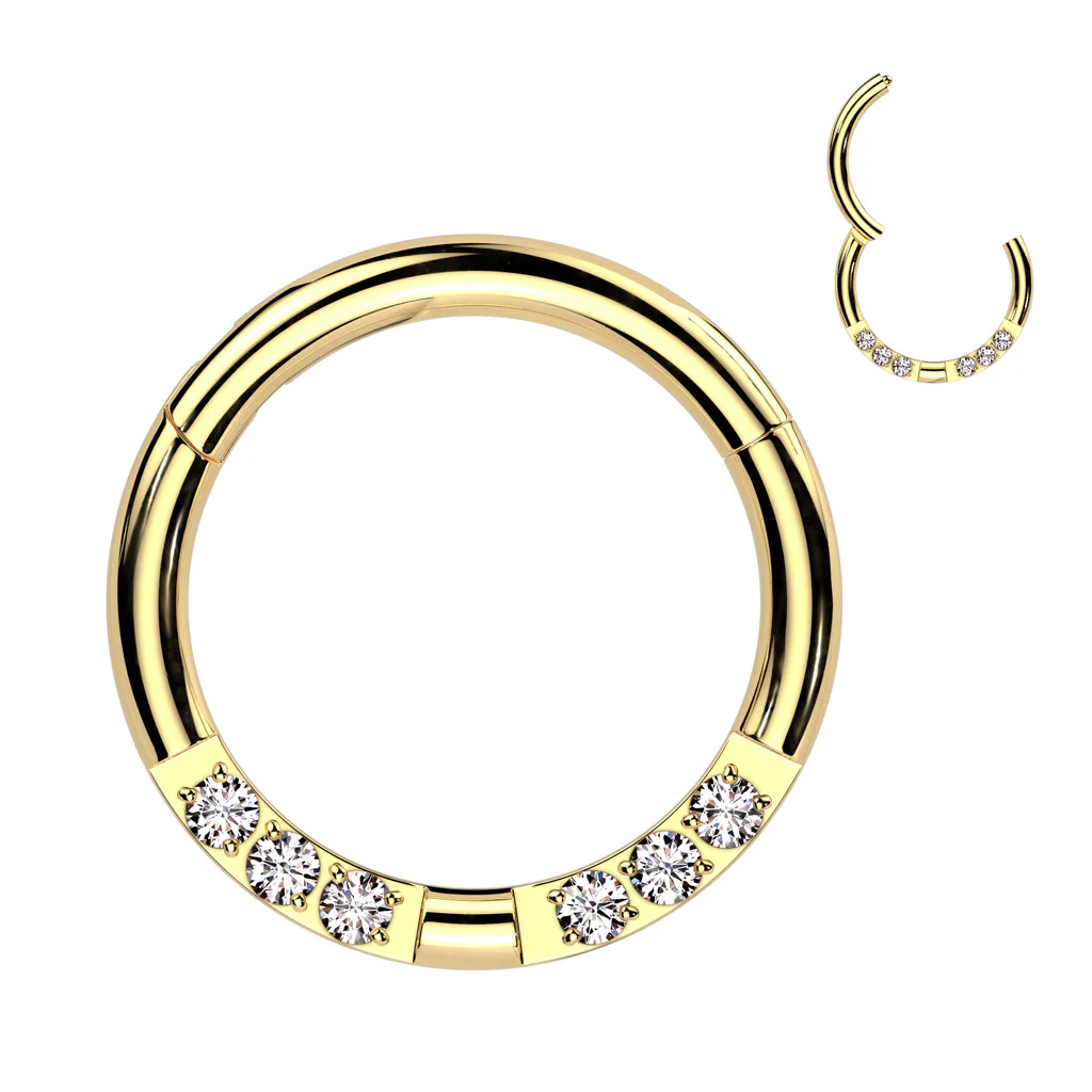 Facing 3 CNC Set CZ Hinged Segment Ring Nose Septum Ear Cartilage Tragus - Image 4