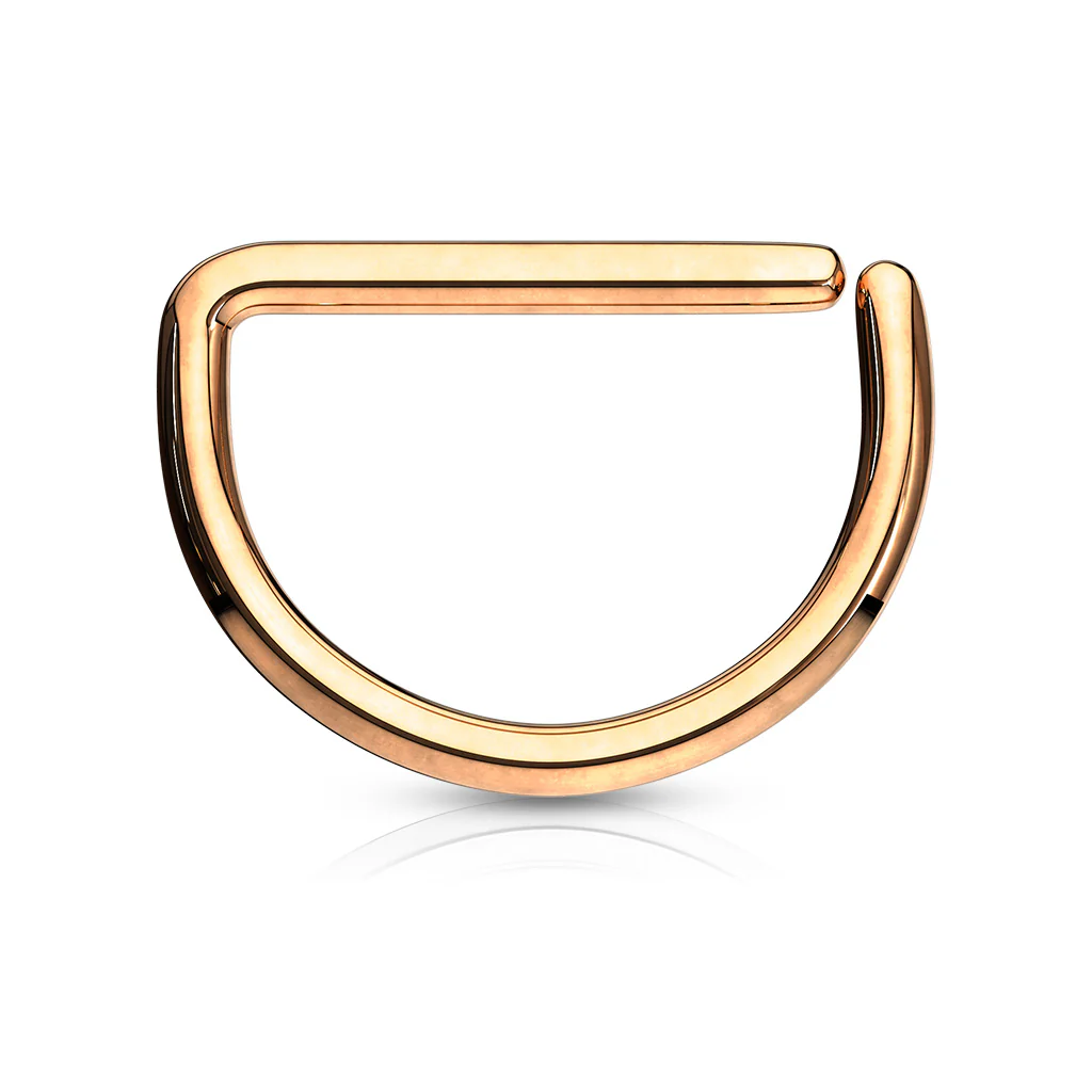 D Shape Titanium Ear Cartilage Daith Hoop Helix Nose Septum Rings - Image 6