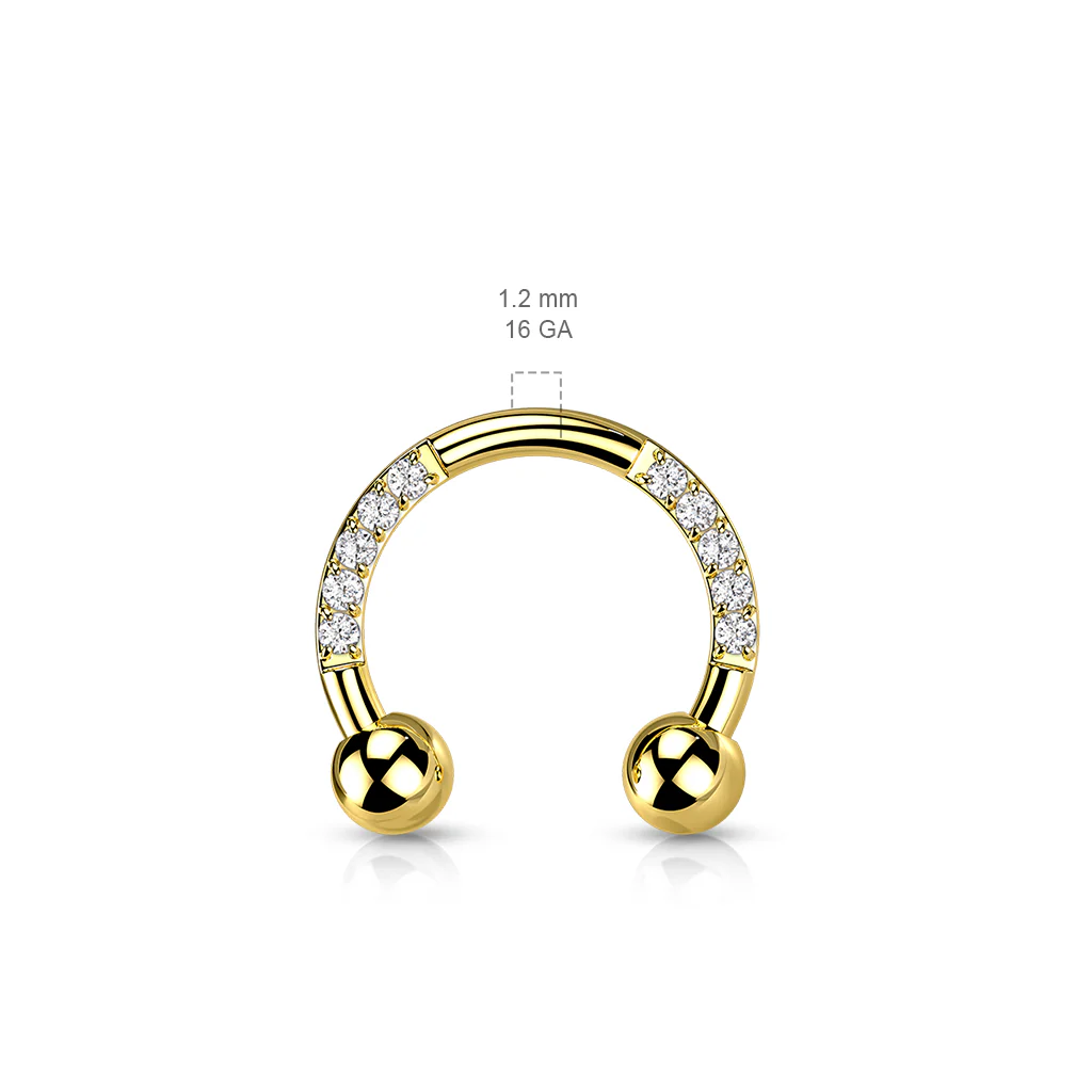 Implant Titanium Pave CZ Horseshoe Circular Barbells - Image 3