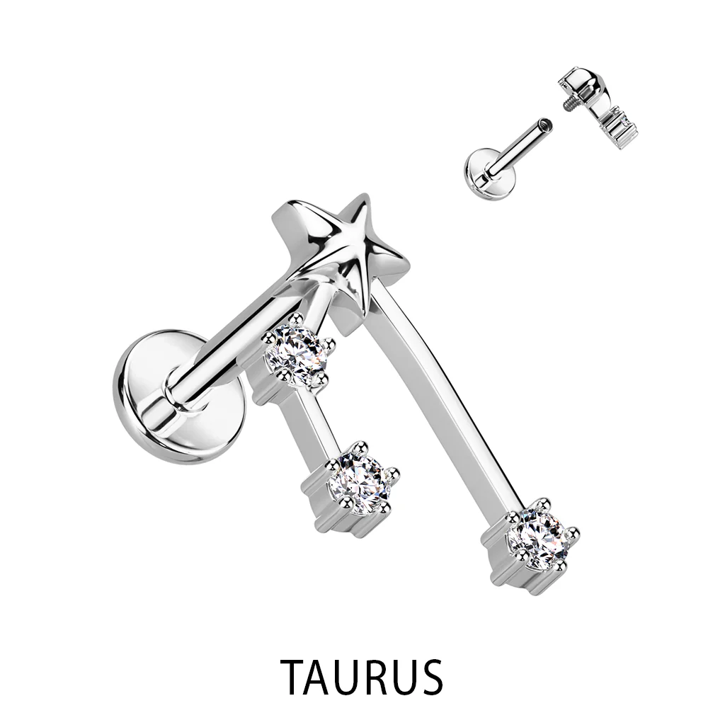Zodiac Constellation Labret Tragus Helix Ear Cartilage Studs - Image 3