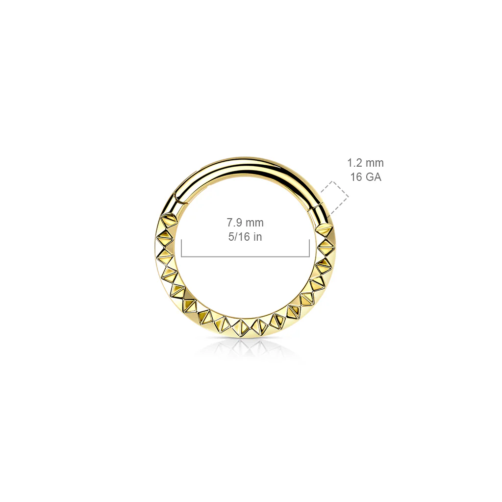 Titanium Hinged Segment Hoop Ring Studded For Nose Septum Cartilage - Image 2