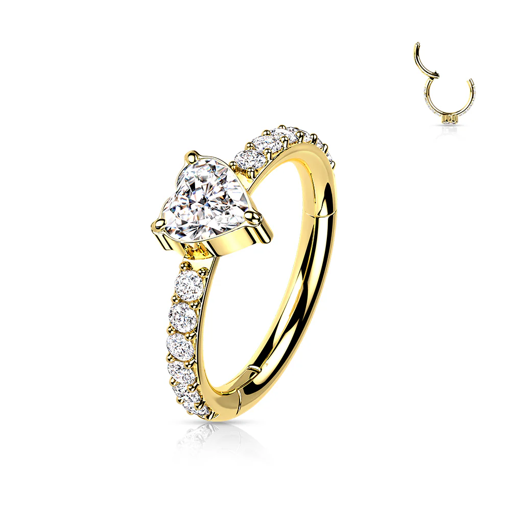 Titanium Hinged Segment Hoop Ring Heart CZ For Nose Septum Cartilage - Image 4
