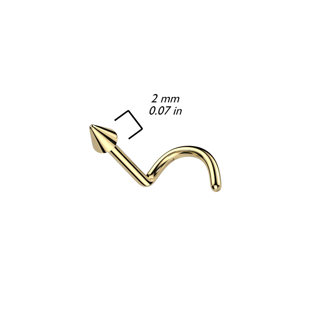 Implant Titanium Spike Nose Screw Ring - Image 2