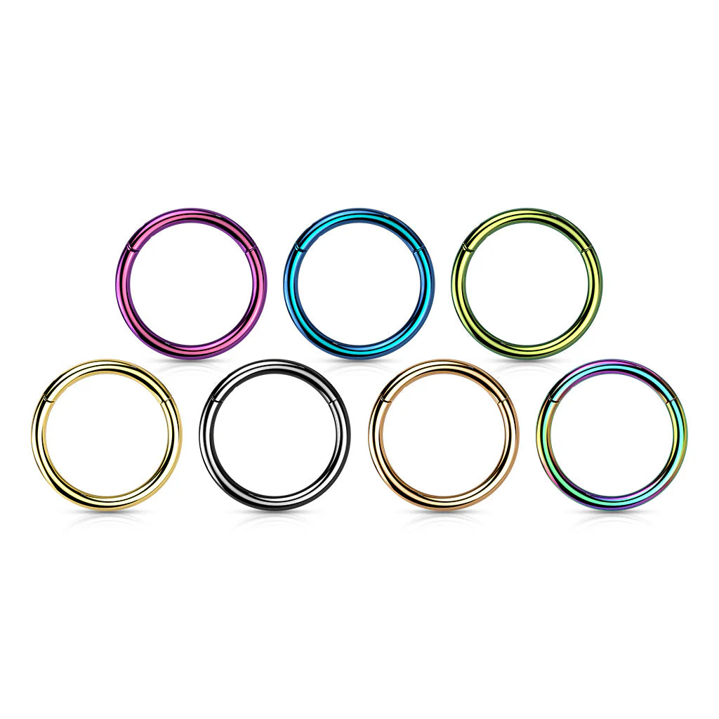 Implant Titanium Hinged Segment Hoop Rings Ear Cartilage 14G - Image 4