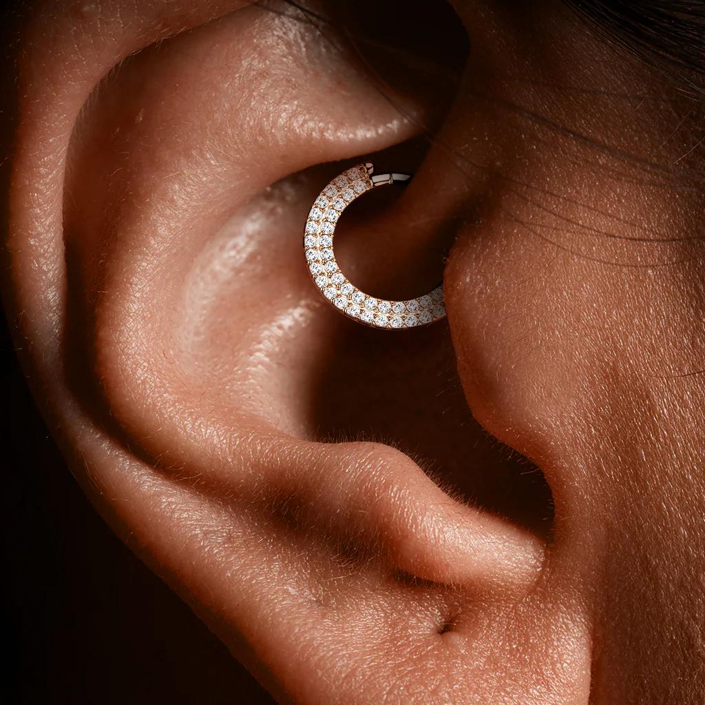 Titanium Hinged Segment Hoop Ring CZ Double Lines For Nose Septum Cartilage - Image 2