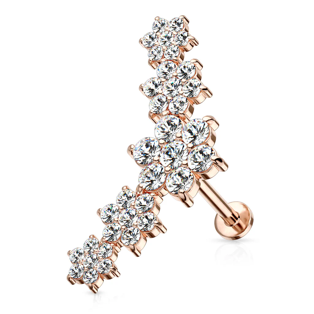 Five Double Tiered CZ Top Labret Monroe Ear Cartilage Studs - Image 5