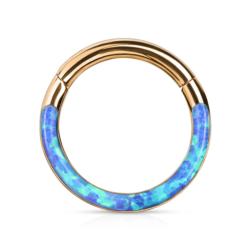 Precision Opal Set Front All Surgical Steel Hinged Segment Hoop Ring Ear Cartilage - Image 9