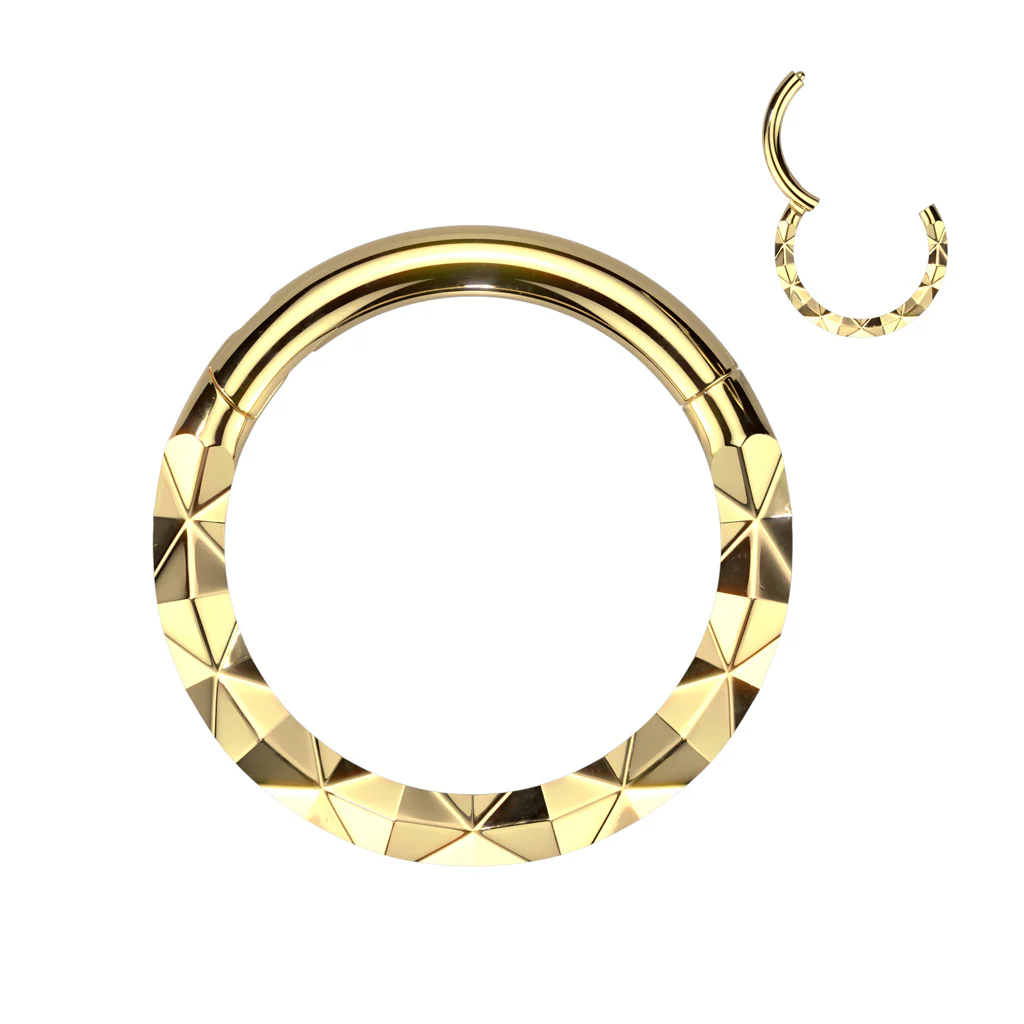 Precision Forward Facing Faceted Hinged Segment Hoop Rings - Image 5