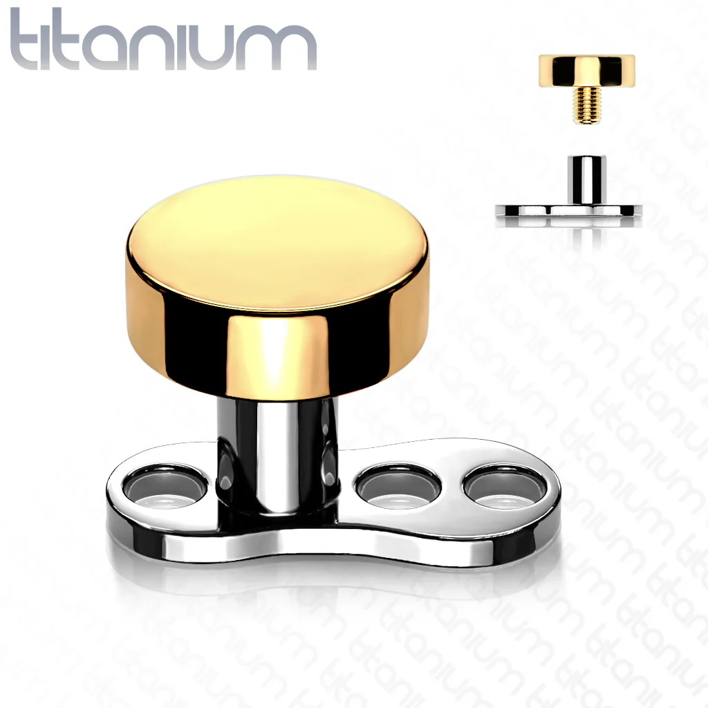 Set Of Titanium Flat Round Top Titanium Dermal Anchor With Base - Image 4