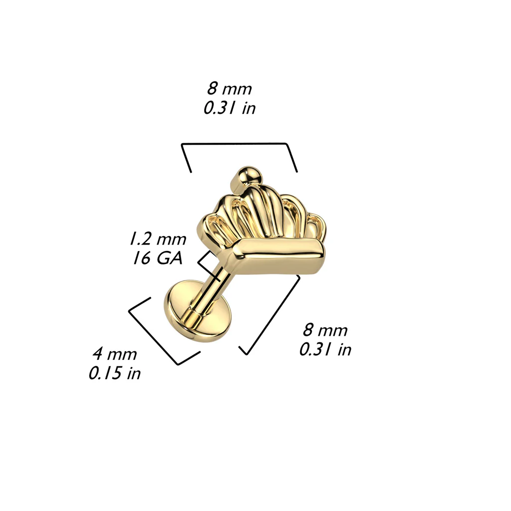 Titanium With Crown Top Labret Ear Cartilage Tragus Daith - Image 2