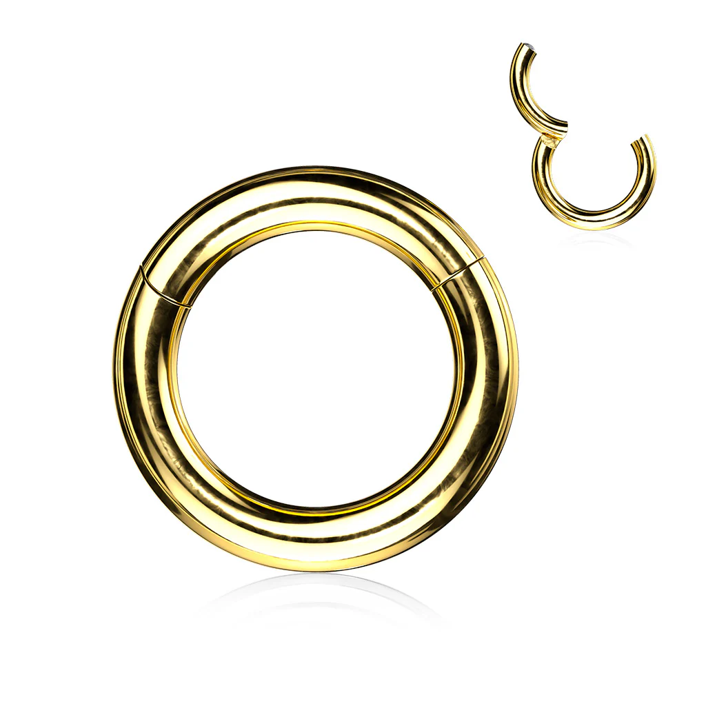 Titanium Large Gauge Hinged Segment Ring For Septum Lip Nose Daith - Image 3