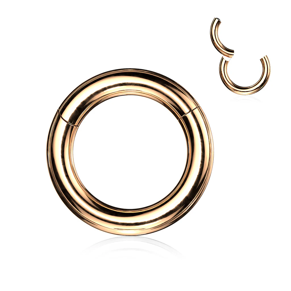 Titanium Large Gauge Hinged Segment Ring For Septum Lip Nose Daith - Image 5