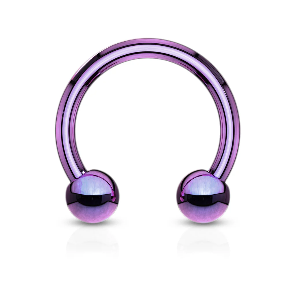 Pair Titanium Horseshoe Circular Barbell Nose Septum Helix Piercing - Image 2