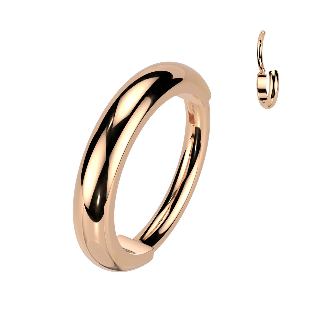 Titanium 2mm Plain Hinged Segment Hoop Rings Tragus Ear Cartilage - Image 3