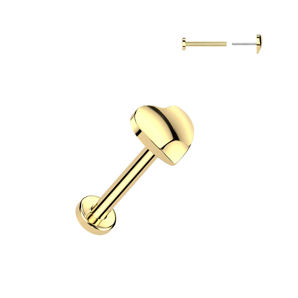 Titanium Threadless Push-In 3D Heart Labret Ear Cartilage Nose - Image 4